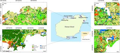 Community Structure of Benthic Macrofauna and the Ecological Quality of Mangrove Wetlands in Hainan, China